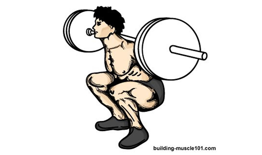 850x504 Squat Alternative For Those Of You With Bad Knees