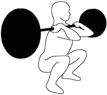 344x305 Squats With Weight Bar Clip Art Cliparts
