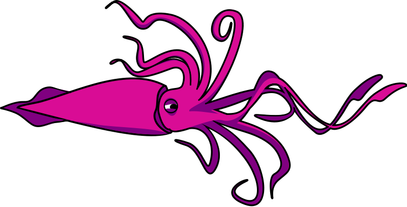 800x407 Squid Clip Art Free Clipart Images