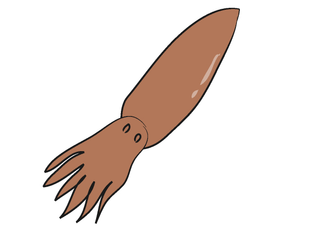 640x480 Squid Clipart 10