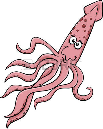 360x450 Squid Clipart Aquatic Animal