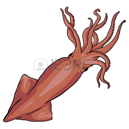 450x450 Vector Single Cartoon Squid On White Background Royalty Free