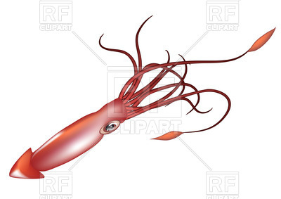 400x283 Giant Squid Isolated On White Background Royalty Free Vector Clip