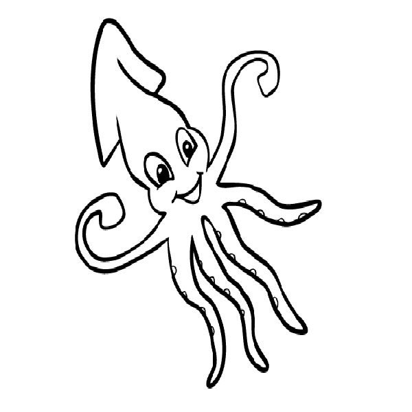 600x600 Squid Images Black And White Images Hd Download
