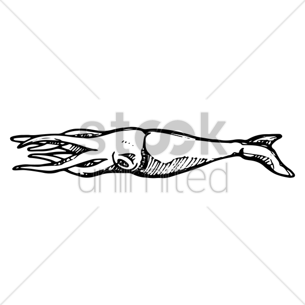 600x600 Squid Vector Image