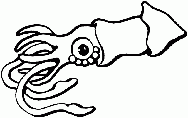 640x401 Squid Clipart Coloring