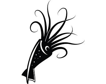 340x270 Squid Drawing Etsy
