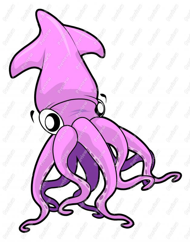 628x800 Top 51 Squid Clip Art