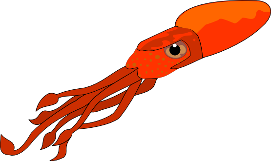 555x330 Squid Clip Art Free Clipart Panda