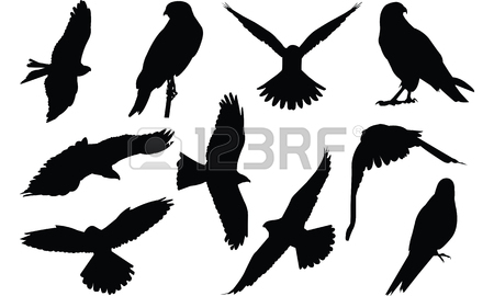 450x270 Giant Squid Silhouette Vector Illustration Royalty Free Cliparts