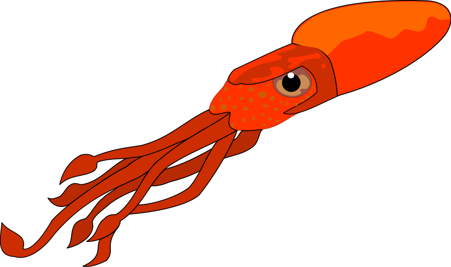 900x533 Squid Clip Art Free Clipart Images 2