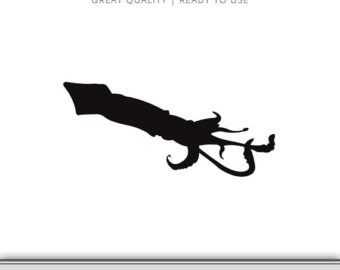 340x270 Squid Drawing Etsy