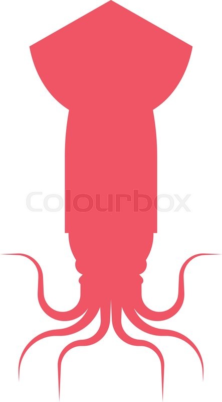 443x800 Vector Squid Cartoon Marine Illustration. Squid, Calamari