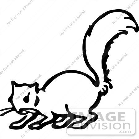 450x450 Clipart Of A Squirrel In Black And White
