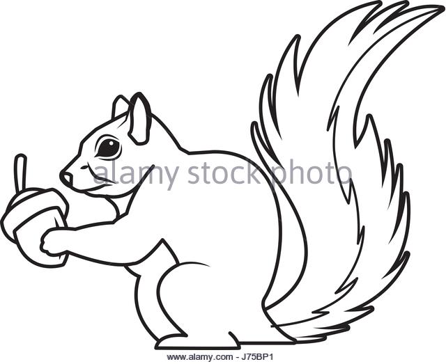 640x523 Squirrel Logo Vector Stock Photos Amp Squirrel Logo Vector Stock