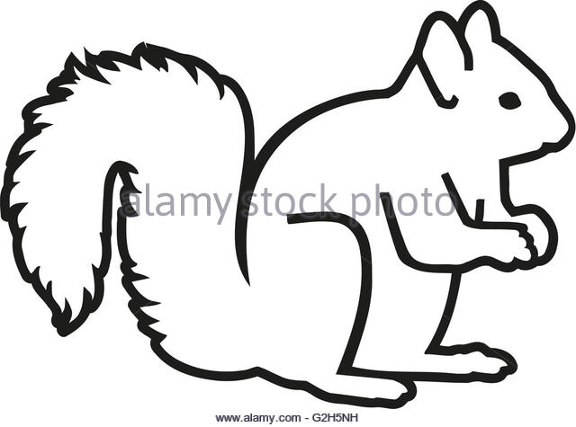 640x475 Squirrel Silhouette Stock Photos Amp Squirrel Silhouette Stock