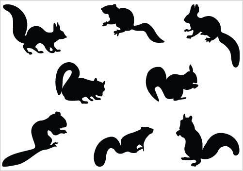 501x352 Squirrel Black And White Squirrel Clipart Tiny 2