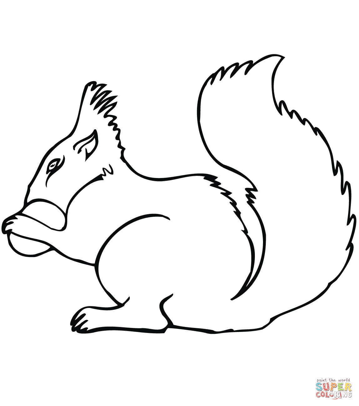 1148x1300 Squirrels Coloring Pages Free Coloring Pages