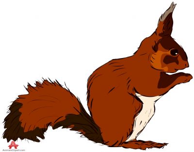 400x314 Free Squirrel Clipart 2 2