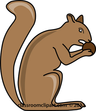 324x375 Free Squirrel Clipart Clip Art Pictures Graphics Illustrations