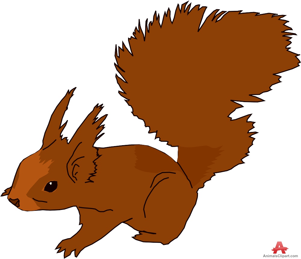 999x860 Squirrel Clipart Reading