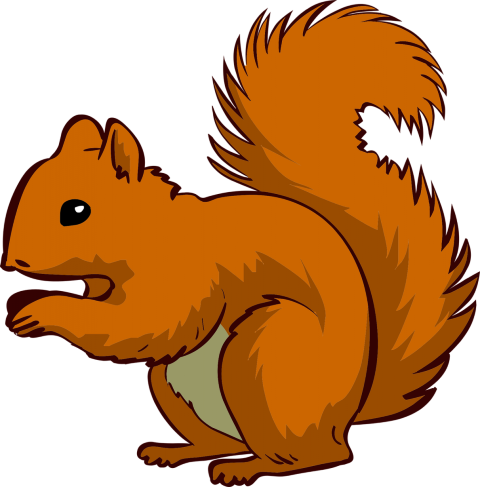 480x487 Squirrel Clipart Run