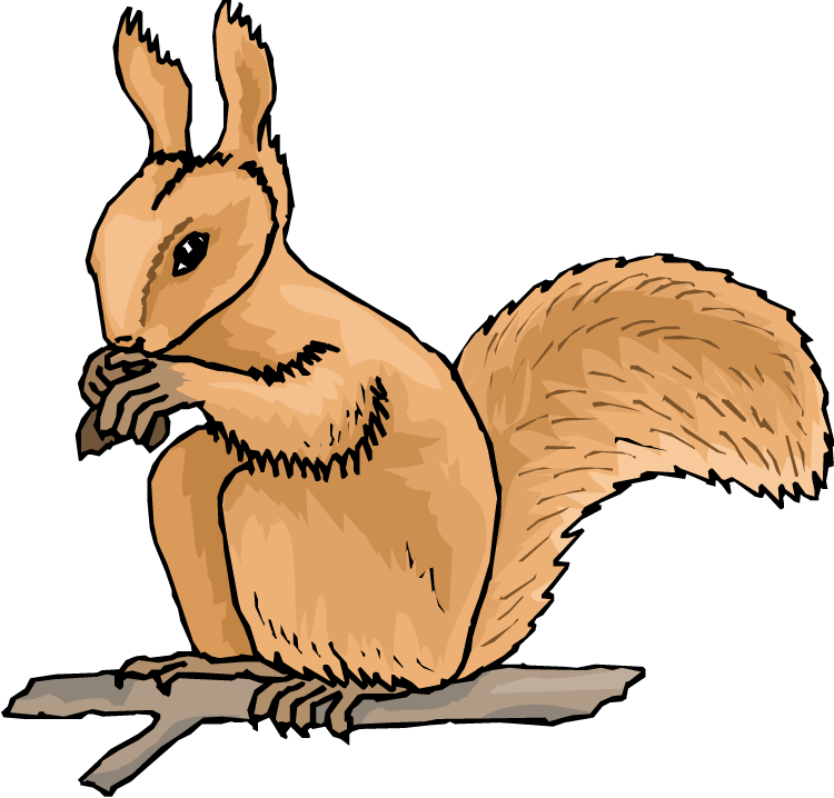 750x718 Animated Squirrel Clipart Free Squirrel Clipart Clipart Kid