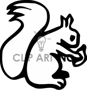 292x300 Red Squirrel Clipart Black And White