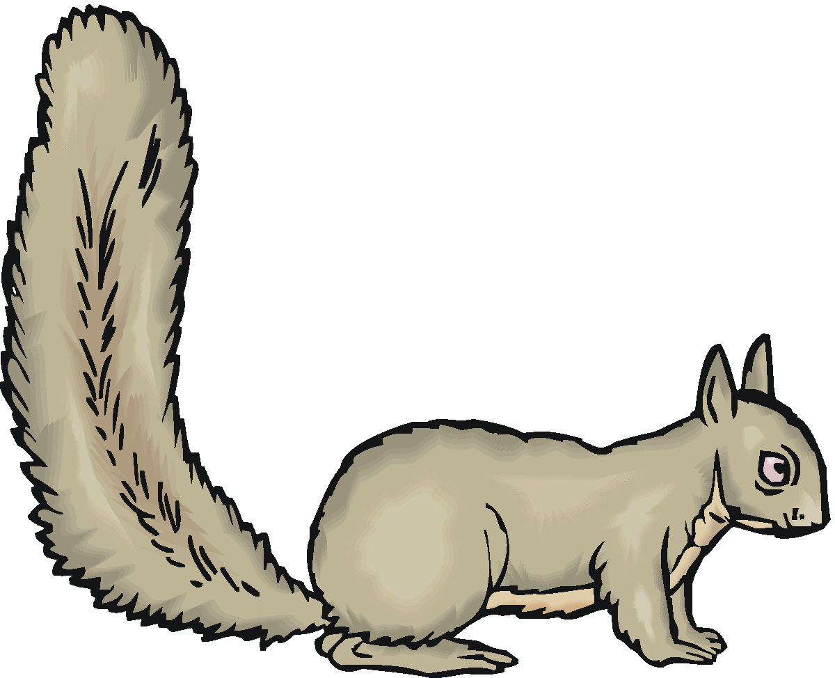 1200x974 Squirrel Black And White Black Squirrel Clipart 2