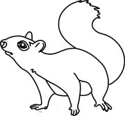 180x167 Squirrel Clipart Black And White