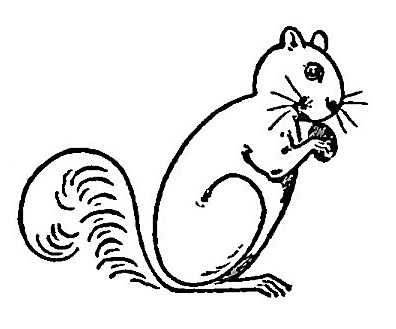 396x329 Squirrel Clipart Easy Draw