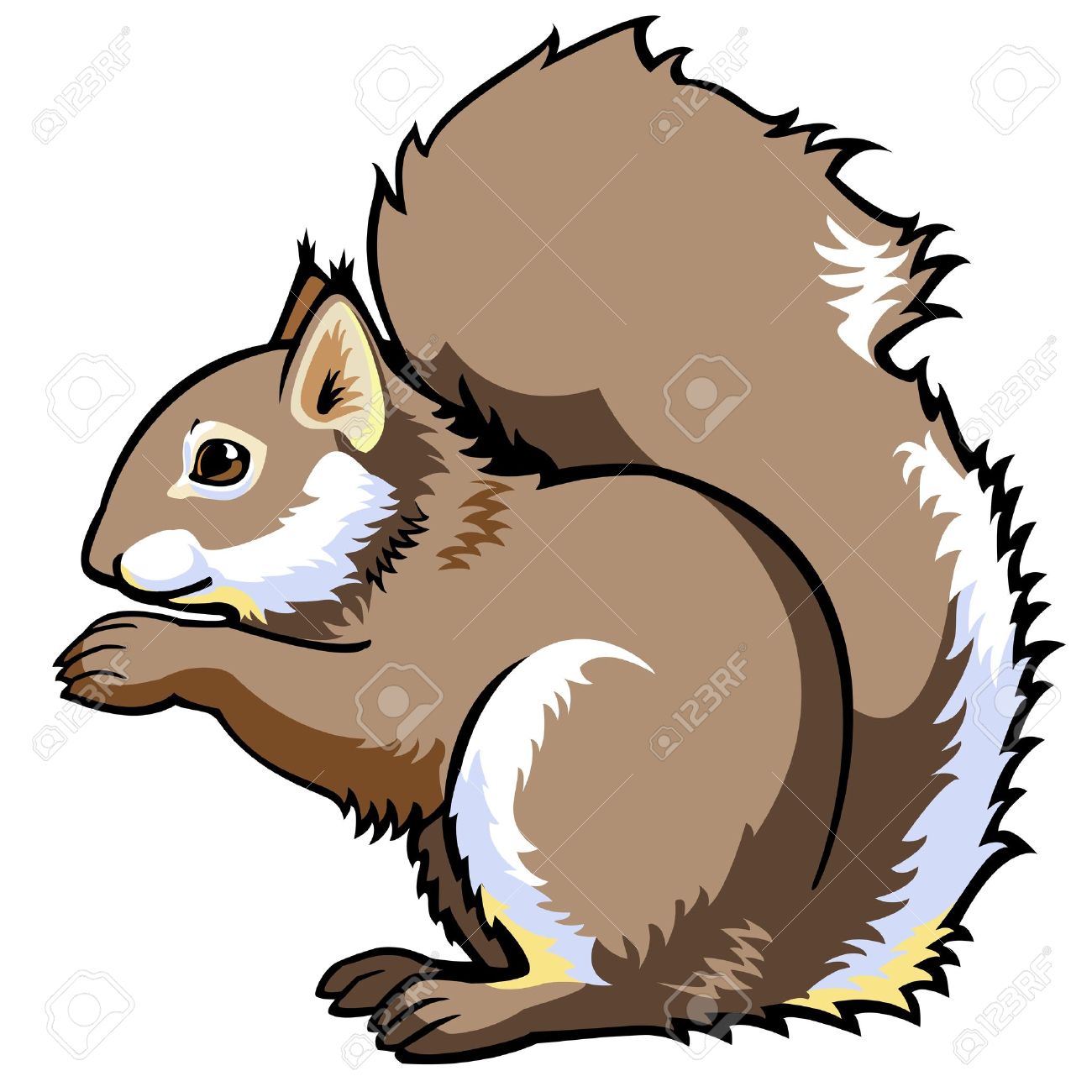 Free Squirrel Clipart Clipart Animals Clip Art Librar - vrogue.co