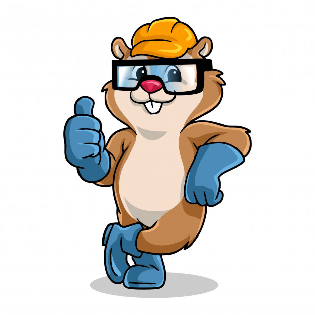 626x626 Squirrel Vectors, Photos And Psd Files Free Download