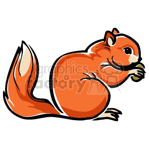 300x300 Royalty Free Squirrel Eating A Nut 129503 Vector Clip Art Image