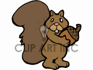 300x225 Acorn Clipart Baby Squirrel