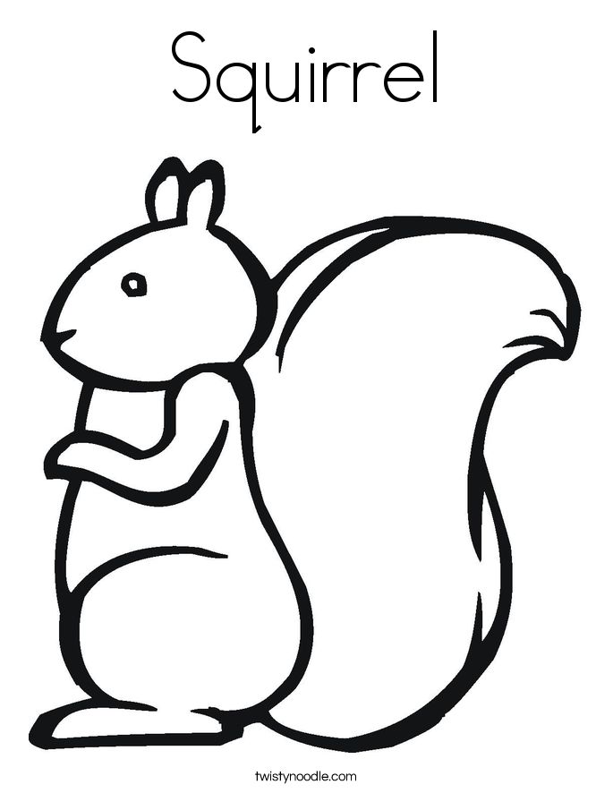 Squirrel Outline
