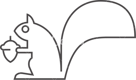 550x324 Squirrel Animal Outline