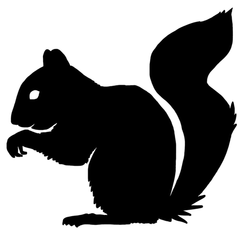 250x233 Squirrel Outline