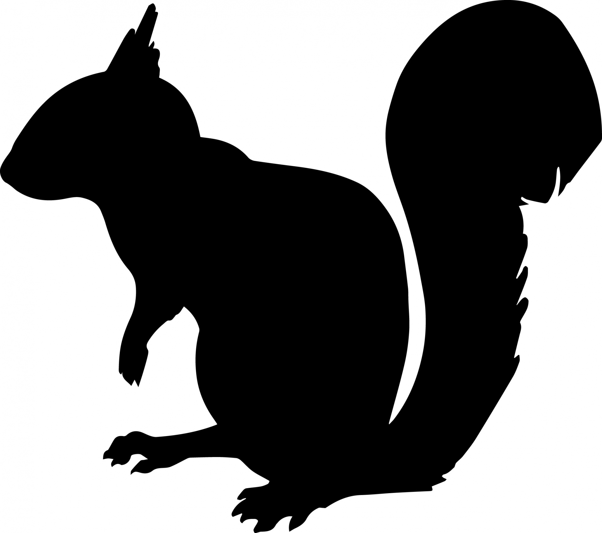 1920x1699 Squirrel Silhouette Squirrels Squirrel And Silhouettes