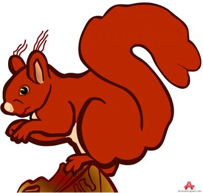 400x380 Animals Clipart Of Squirrel Clipart With The Keywords Squirrel