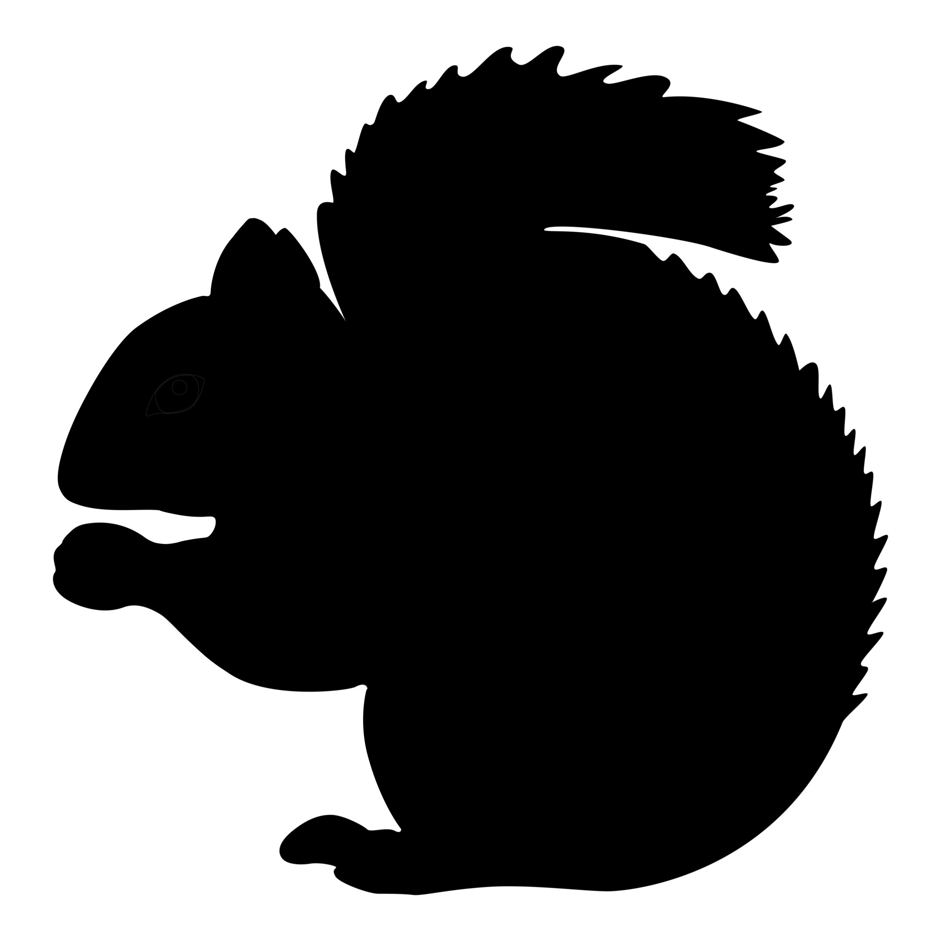 1920x1920 Grey Squirrel Free Stock Photo