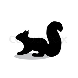 320x320 Silhouette Of Squirrel Stock Vector Colourbox