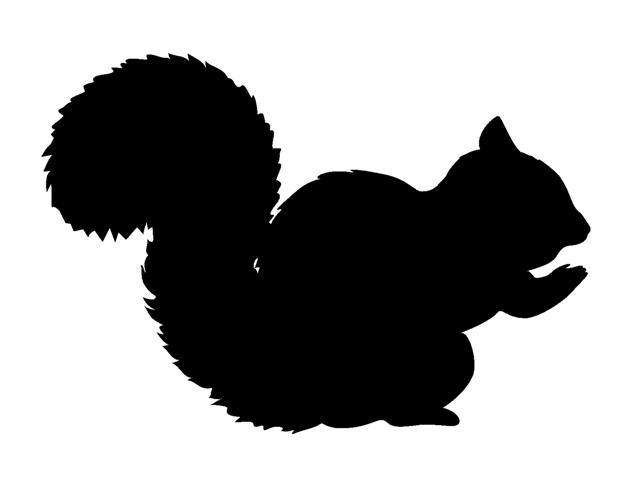 644x480 Squirrel Silhouette Decal Sticker