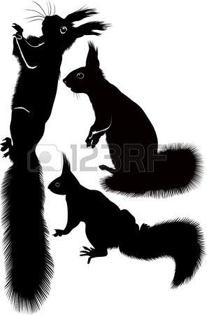 296x450 Squirrel Silhouette Royalty Free Cliparts, Vectors, And Stock