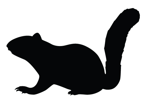500x350 Squirrel Silhouette Vector Download Silhouette Graphics