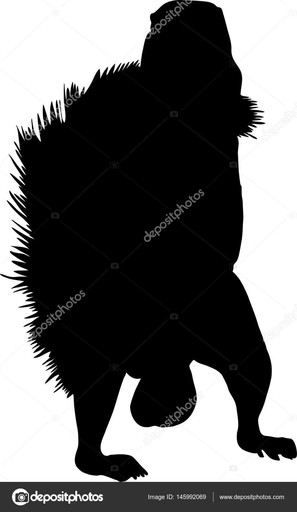 986x1700 Silhouette Of A Standing Ground Squirrel Stock Vector