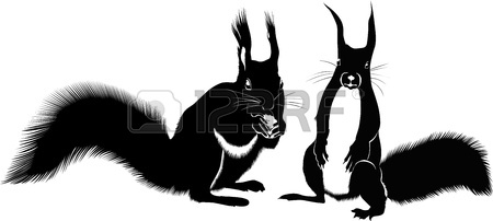 450x202 Squirrel Silhouette Royalty Free Cliparts, Vectors, And Stock