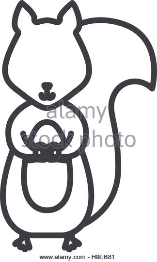 324x540 Squirrel Vector Vectors Stock Photos Amp Squirrel Vector Vectors