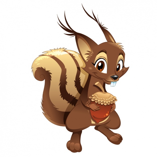 626x626 Squirrel Vectors, Photos And Psd Files Free Download