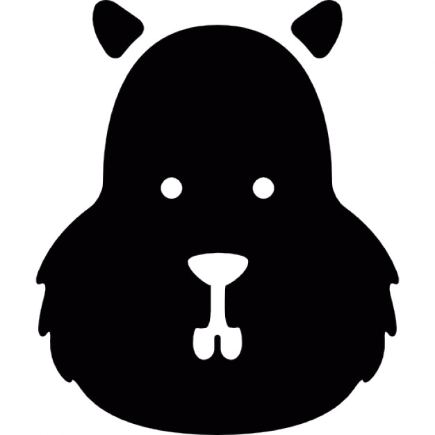 626x626 Squirrel Face Icons Free Download